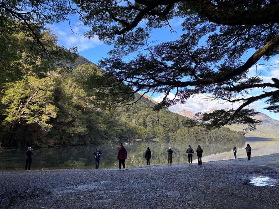 From Te Anau: Milford Sound Small-Group Tour Including Lunch - The return journey and Pop’s View Lookout
