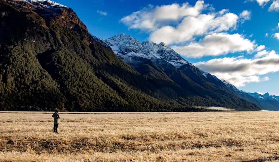 From Te Anau: Milford Sound Small-Group Tour Including Lunch - Hollyford River, Falls Creek, and the Darran Mountains