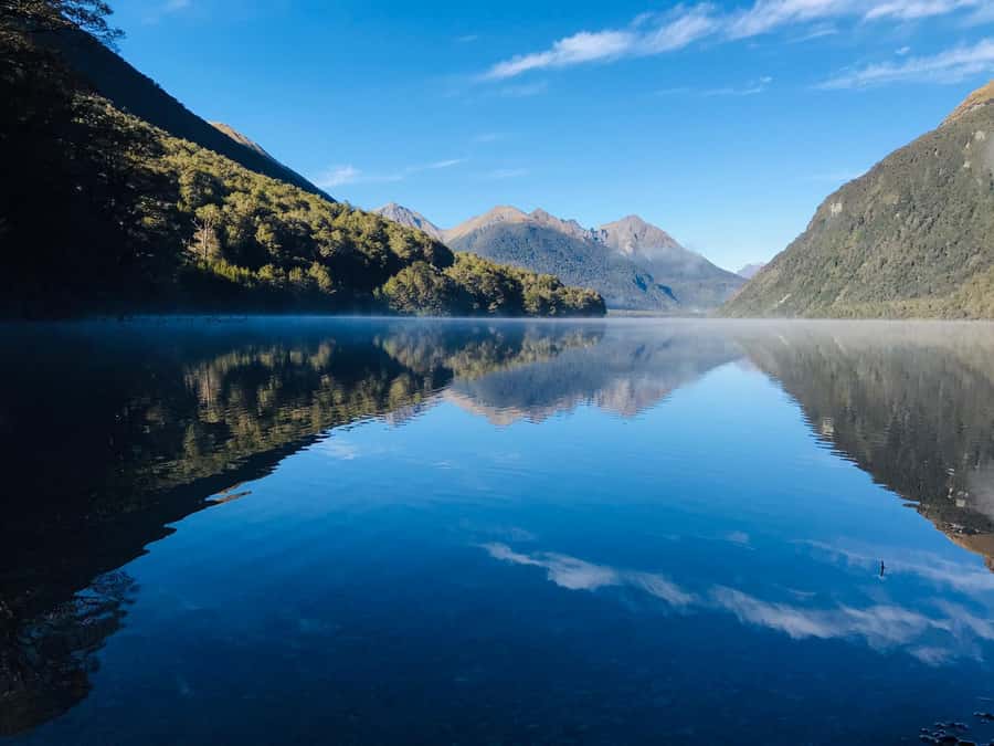 From Te Anau: Milford Sound Small-Group Tour Including Lunch - Milford Sound cruise and Mitre Peak