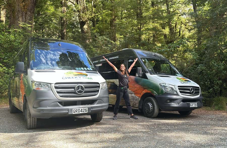 From Te Anau: Milford Sound Small-Group Tour Including Lunch - Lunch, snacks, and what to carry