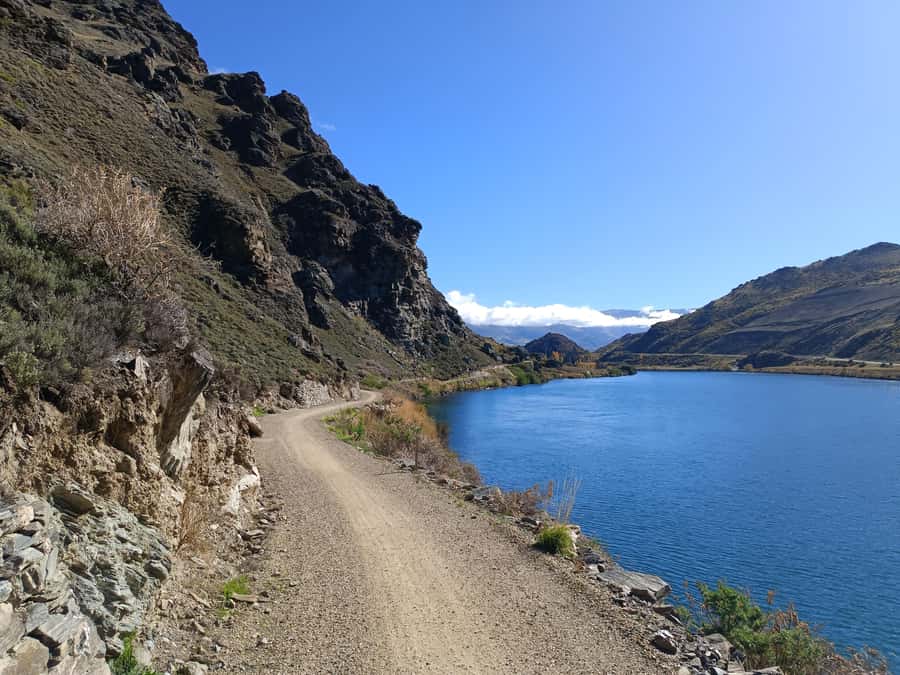 From Wanaka - Bike the Dunstan Trail with shuttle return - The clip-ons and Hugo suspension bridge