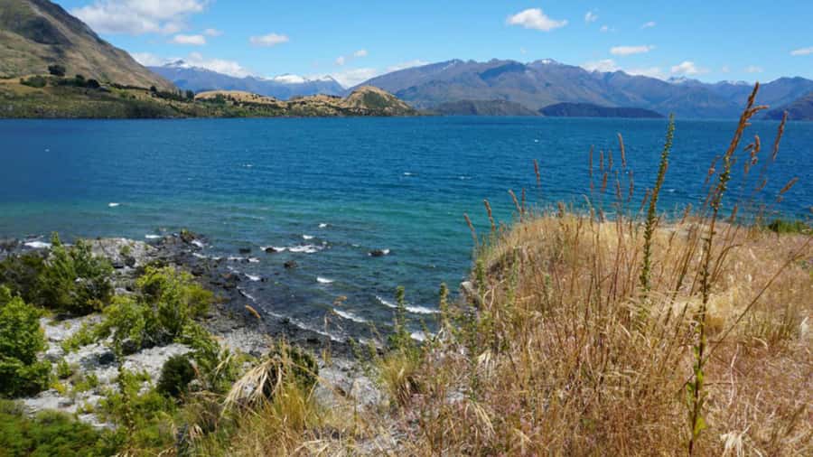 From Wanaka: Ruby Island 1-Hour Cruise and Photo Walk - Why this small island trip works