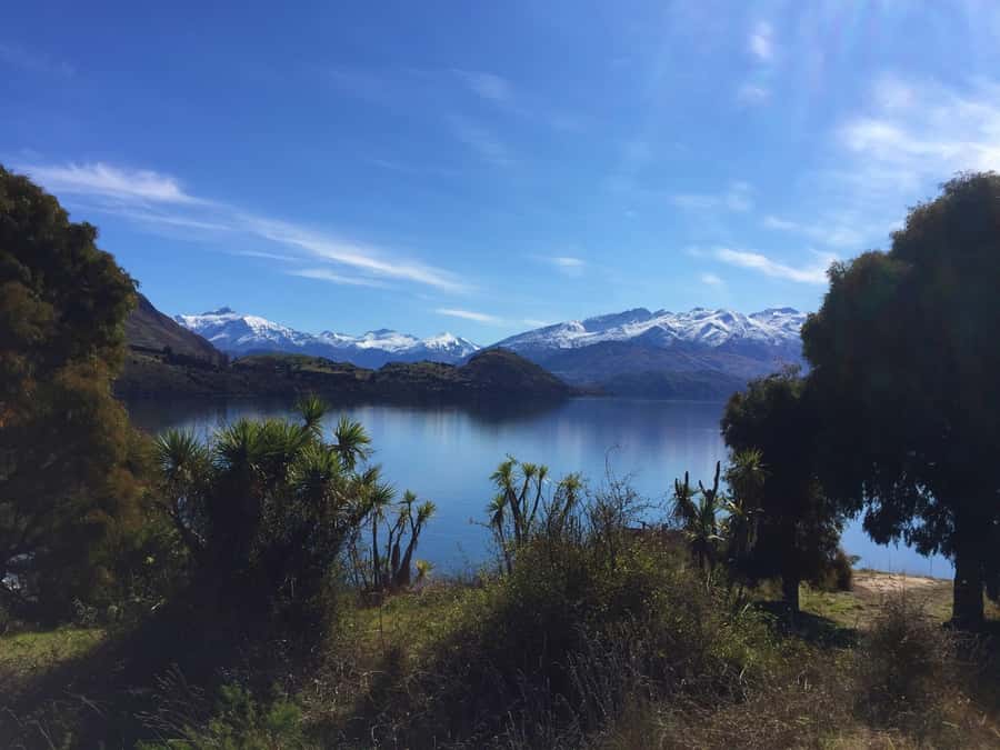 From Wanaka: Ruby Island 1-Hour Cruise and Photo Walk - The short cruise across Lake Wanaka