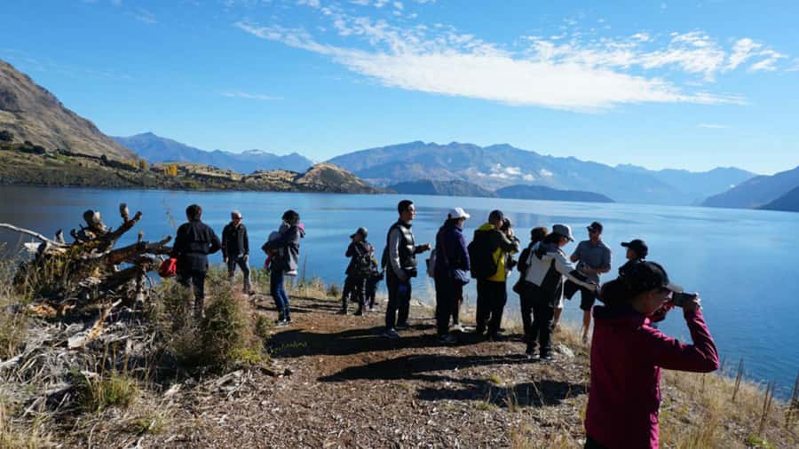 From Wanaka: Ruby Island 1-Hour Cruise and Photo Walk - Going ashore on Ruby Island