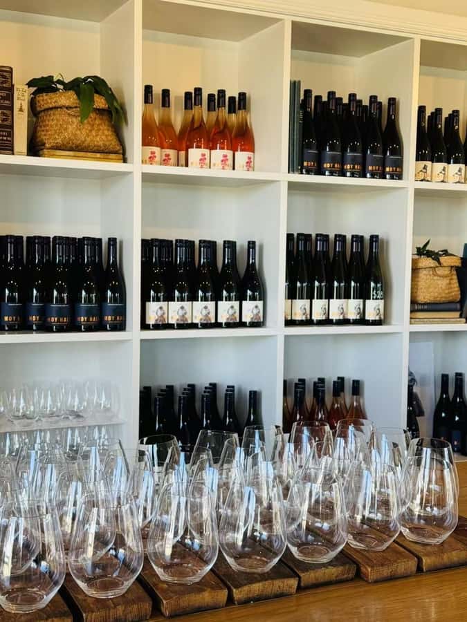 From Wellington: Half-Day Foodie Tour of the Wairarapa - The return to Wellington