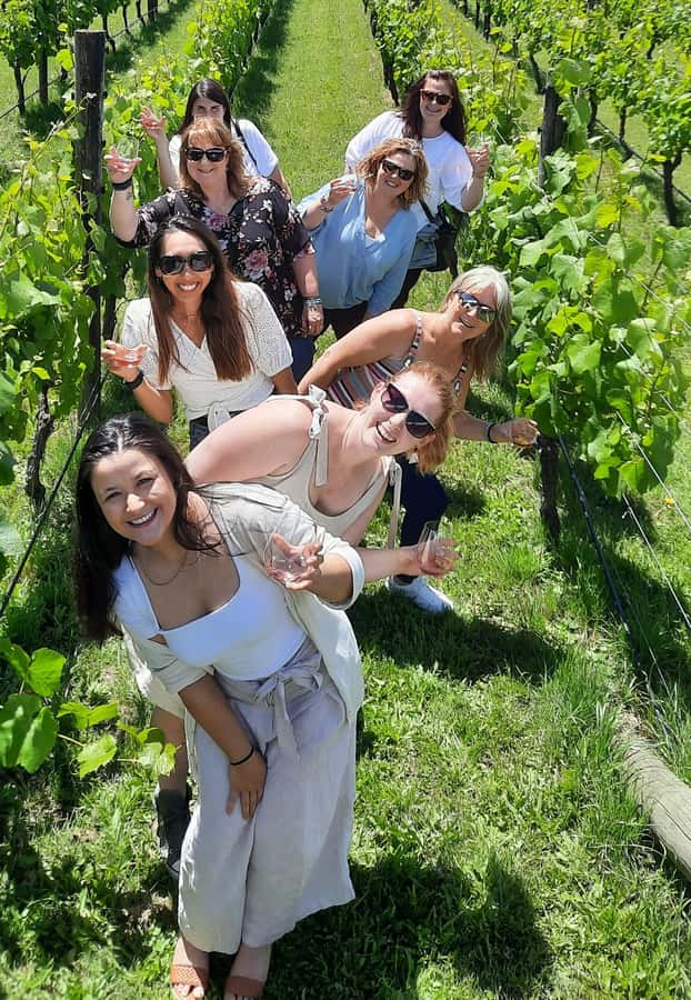 From Wellington: Martinborough Winery Tour - Why Martinborough makes a good Wellington day trip