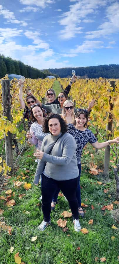 From Wellington: Martinborough Winery Tour - Poppies Martinborough: a polished first tasting