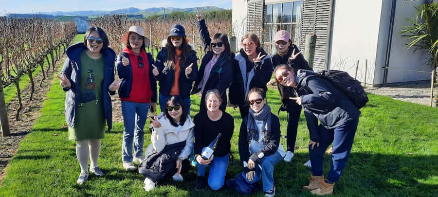 From Wellington: Martinborough Winery Tour - Martinborough town gives the tour breathing room