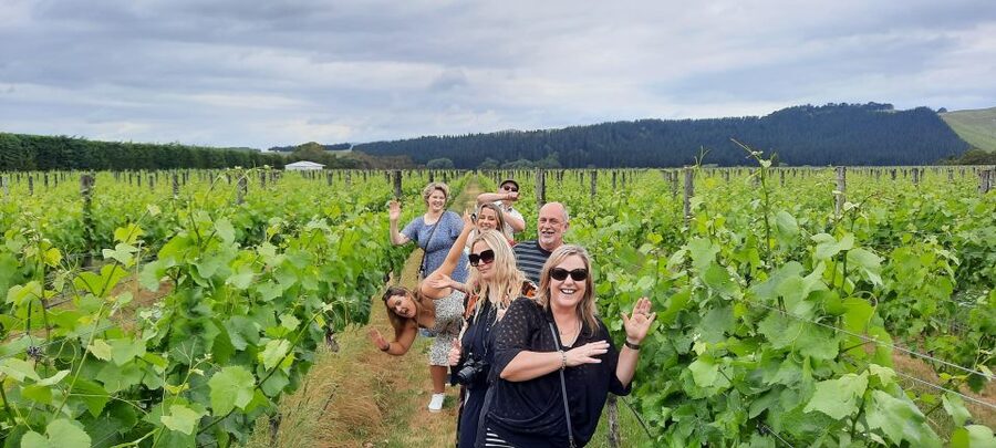 From Wellington: Martinborough Winery Tour - What $114 buys you, and what it does not