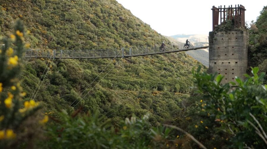 From Wellington: Remutaka Rail Trail eBike Tour - Who will enjoy this ride most