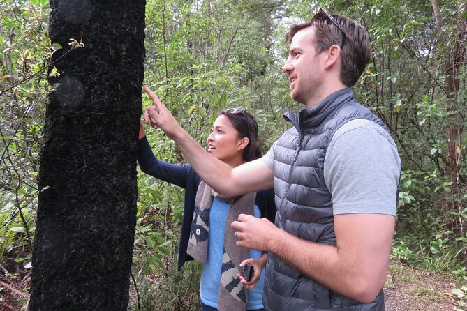 Full-Day Abel Tasman National Park Hiking Tour with Cruise - Why this one-day route works so well