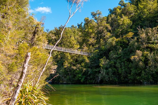 Full-Day Abel Tasman National Park Hiking Tour with Cruise - Forest tracks, ferns, and practical local knowledge