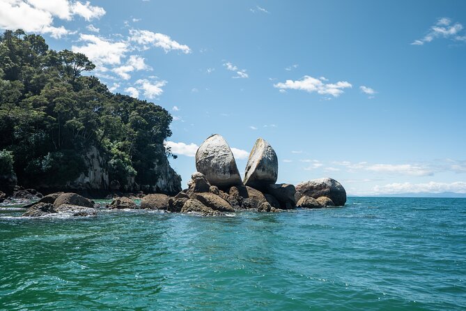 Full-Day Abel Tasman National Park Hiking Tour with Cruise - The afternoon walk toward Anchorage