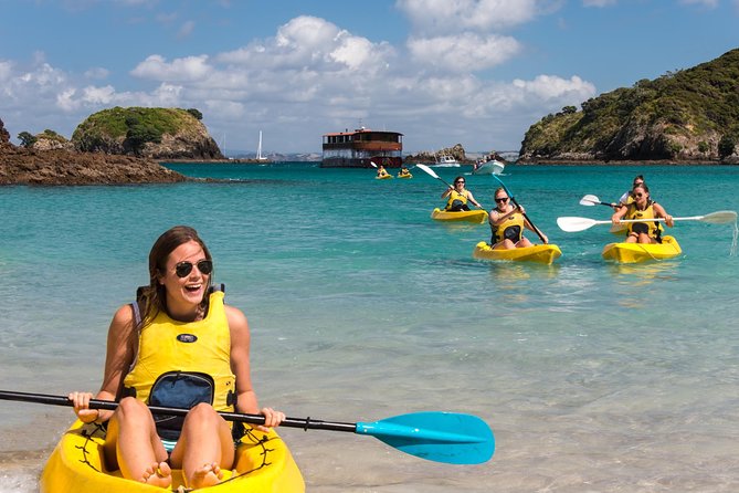 Full-Day Adventure Cruise with Lunch in Bay of Islands - Six things to know before booking