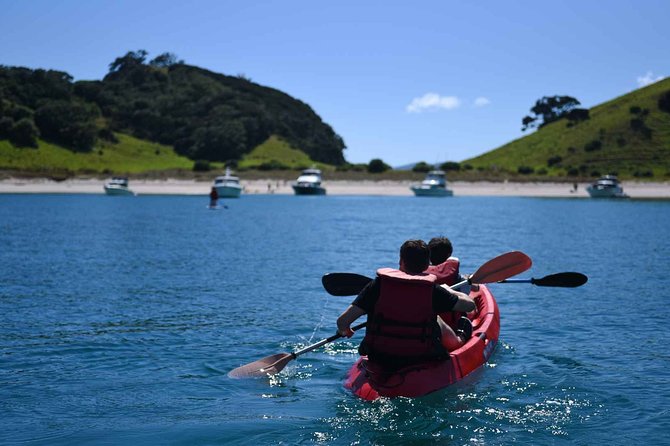 Full-Day Adventure Cruise with Lunch in Bay of Islands - Beach time and the chance to gather seafood