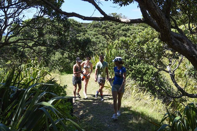Full-Day Adventure Cruise with Lunch in Bay of Islands - Lunch, cold drinks, and the boat’s practical style