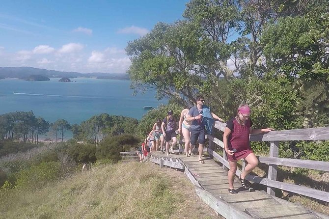 Full-Day Adventure Cruise with Lunch in Bay of Islands - How much value do you get for $178.73?