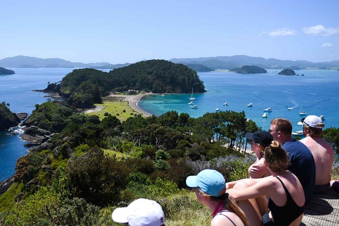 Full-Day Adventure Cruise with Lunch in Bay of Islands - Why this cruise feels different from a standard sightseeing trip