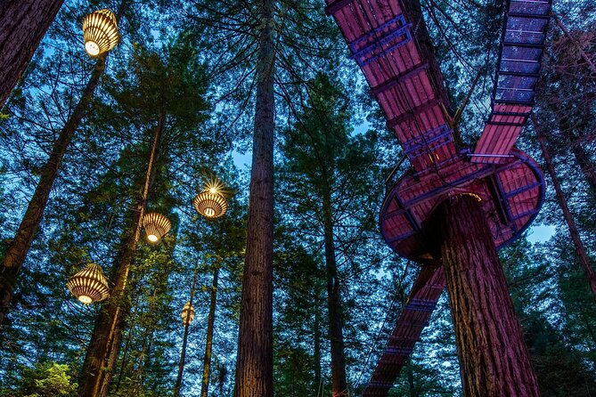 Full Day Customisable Tour with Driver & Luxury Car Unlimited Kms - Forest, water, and adrenaline near Rotorua