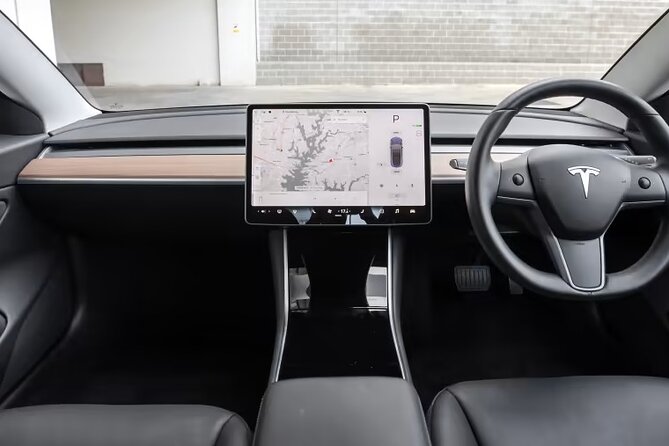 Full-Day Driver with Tesla Car-Customisable North Island Tour - Blue Spring offers a quick dose of clear water