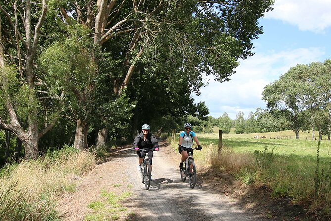 Full Day Ebike Tour in Karangahake Gorge (ex Auckland) - Waikino’s gold machinery and underground kilns
