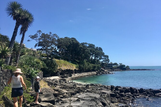 Full-Day Grand Auckland Volcanoes Tour - Achilles Point opens with harbour views