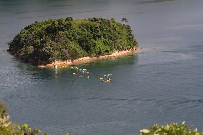 Full day Guided Sea Kayak Tour from Picton - The guide makes the long day work