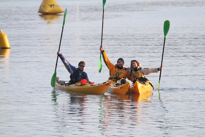 Full day Guided Sea Kayak Tour from Picton - What the $105.50 price includes