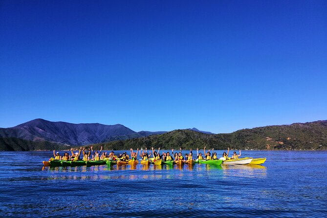 Full day Guided Sea Kayak Tour from Picton - A route shaped by wind, ability, and comfort