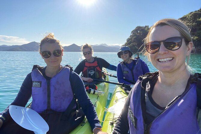 Full-Day Guided Sea Kayak Trip from Picton - Key points about the Picton kayak day
