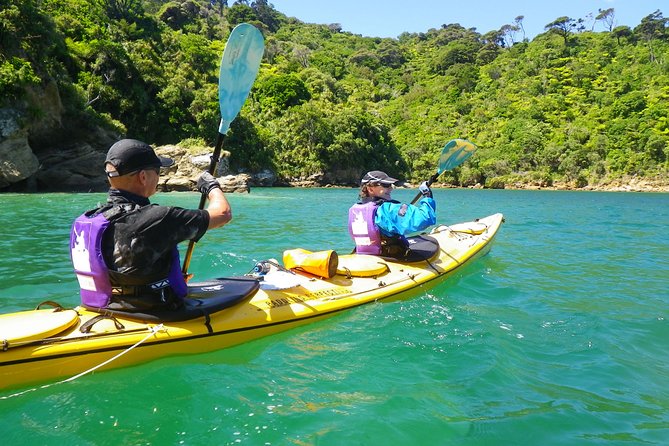 Full-Day Guided Sea Kayak Trip from Picton - Crossing Queen Charlotte Sound by kayak