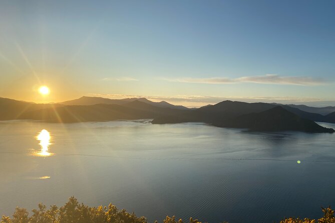 Full-Day Guided Sea Kayak Trip from Picton - Wildlife and local stories along the way