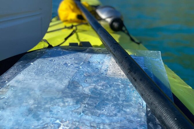 Full-Day Guided Sea Kayak Trip from Picton - Weather, fitness, and what to consider