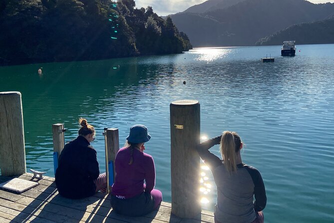 Full-Day Guided Sea Kayak Trip from Picton - Morning tea on a remote beach