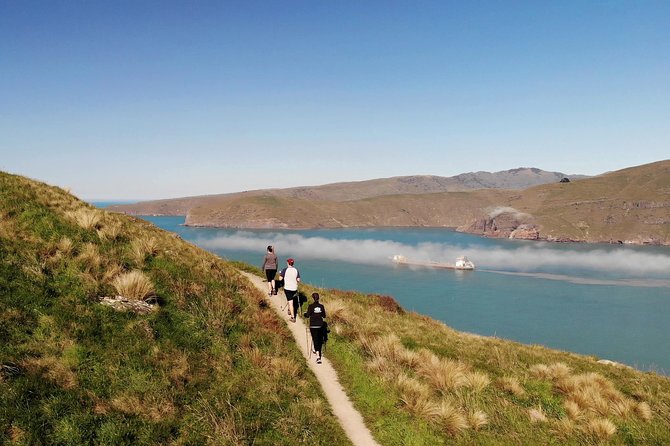 Full Day Guided Walking Tour and Picnic around Godley Head - Three hours around the Godley Head Loop Track