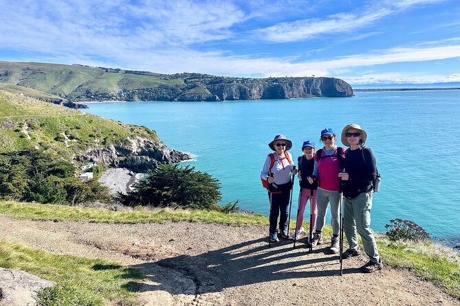 Full Day Guided Walking Tour and Picnic around Godley Head - The picnic lunch is a real part of the experience