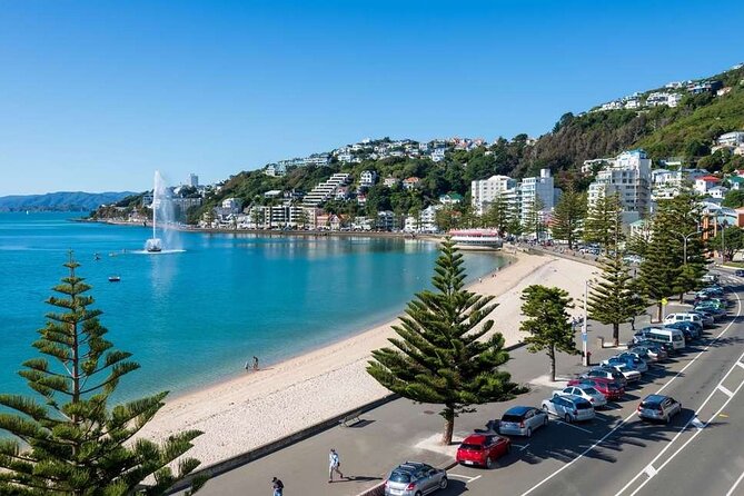 Full Day Guided Wellington Tour including guided tour at Te Papa - Five things to know before you book