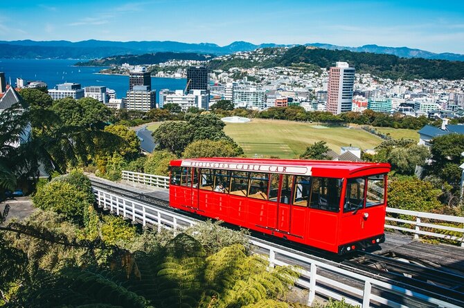 Full Day Guided Wellington Tour including guided tour at Te Papa - Why this Wellington tour works well