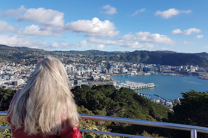 Full Day Guided Wellington Tour including guided tour at Te Papa - Weta Cave and Wellington’s film world