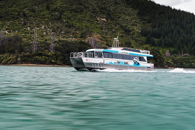 Full Day Iconic Mail Boat Cruise - Leaving Havelock for Kenepuru Sound