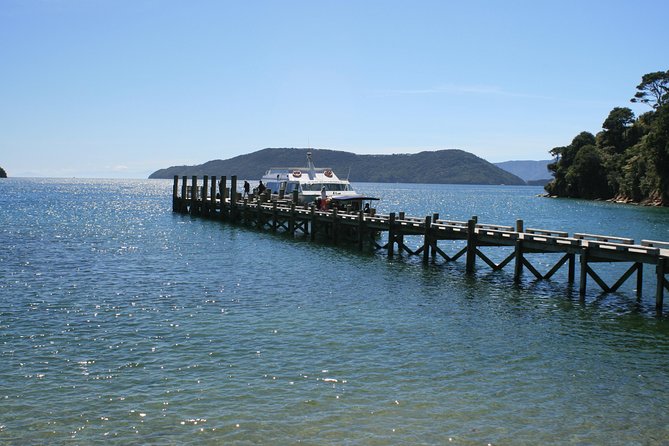 Full-Day Marlborough Catamaran Cruise with Wine Tour and Lunch - Key points at a glance