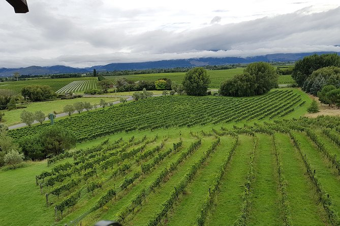 Full-Day Marlborough Catamaran Cruise with Wine Tour and Lunch - The afternoon winery visits
