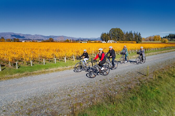 Full-Day Marlborough Wine Region Bike Hire - Planning five wineries without rushing