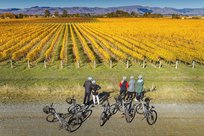 Full-Day Marlborough Wine Region Bike Hire - Making lunch part of the route