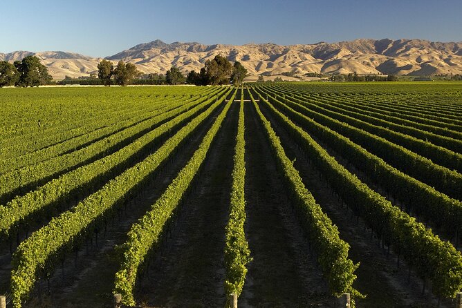 Full-Day Marlborough Wine Tour from Blenheim - Afternoon cellar doors and the range of wines