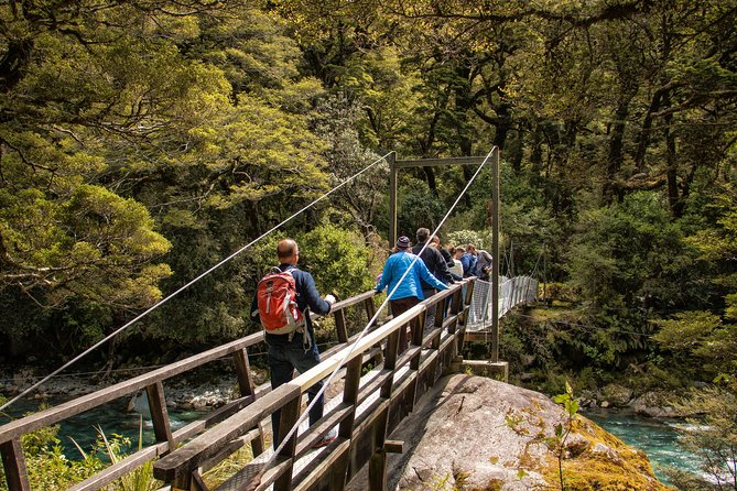 Full-Day Milford Sound Tour with Cruise and Walks from Te Anau - The guide can make or break a long road day