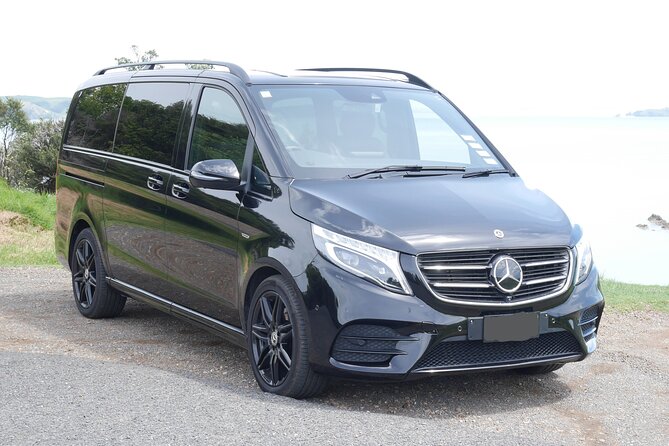 Full Day Private Waiheke Island Wine Tour Including Lunch - Why a private Waiheke wine day works so well