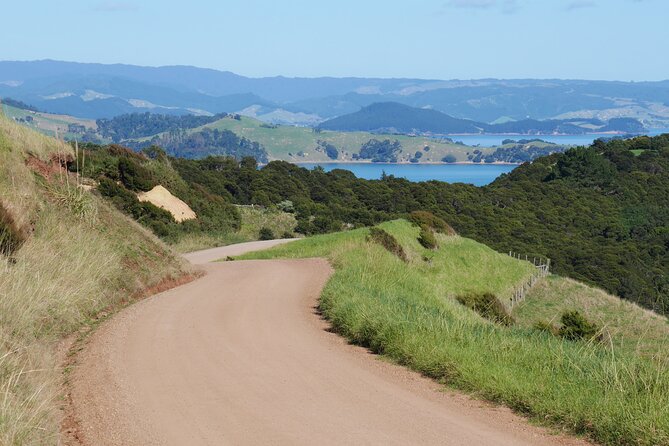 Full Day Private Waiheke Island Wine Tour Including Lunch - Meeting Geoff and starting at 9:00 am