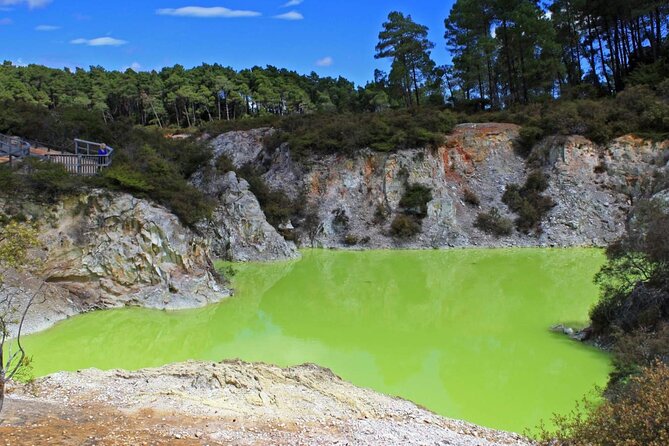 FULL DAY ROTORUA TOUR - Fully Customisable 13 hours Unlimited KMS - Redwoods, Skyline, and outdoor fun