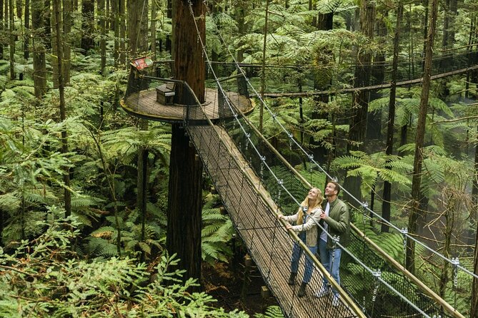 FULL DAY ROTORUA TOUR - Fully Customisable 13 hours Unlimited KMS - Choosing between one day and two